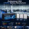 professional LiFePO4 battery manufacturer with OEM service
