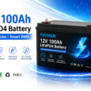 100Ah LiFePO4 OEM Manufacturer