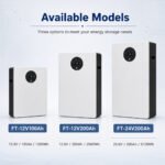 Comparison of FT-12V100Ah FT-12V200Ah and FT-24V200Ah LiFePO4 battery pack models