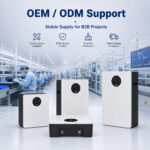 OEM ODM support and stable supply for LiFePO4 battery pack projects